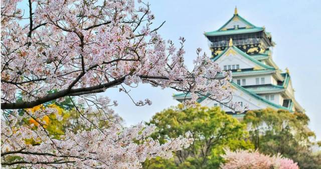 參加日本當地旅行團遇爭議！台人要對方「說中文」　一票人搖頭：丟臉